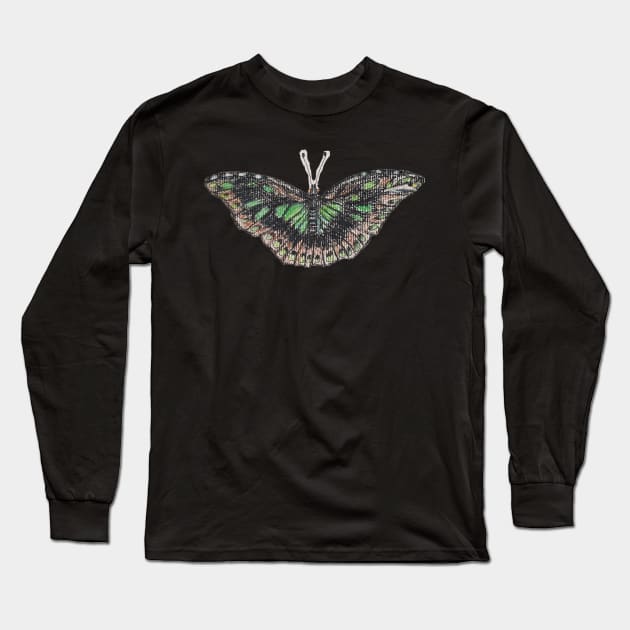 Entomology Long Sleeve T-Shirt by csteever